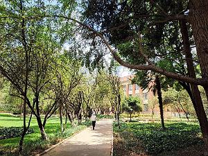 Kunming - Universite du Yunnan (48)